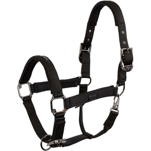 BR Licol AW25 Eevolv Josh Meteorite BR Licol AW25 Eevolv Josh Meteorite