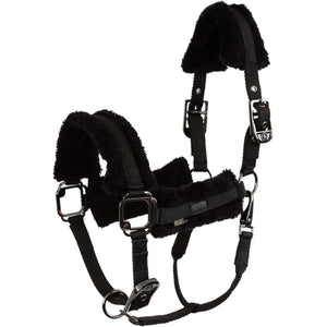 BR Licol AW25 Eevolv Jonne Meteorite BR Licol AW25 Eevolv Jonne Meteorite