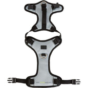 BR Petit Harnais Slate Gris BR Petit Harnais Slate Gris