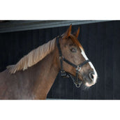 Birth Alarm Premium Complete Birth Alarm Premium Complete