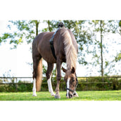 Birth Alarm Premium Complete Birth Alarm Premium Complete