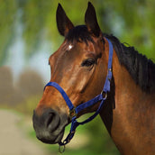 Riding World Licol Marin Riding World Licol Marin