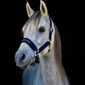 Back on Track Licol Werano Bleu Back on Track Licol Werano Bleu