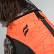 Back on Track Veste pour Chien TRAKK Réfléchissant Orange Back on Track Veste pour Chien TRAKK Réfléchissant Orange