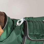 Back on Track Veste pour Chien Buddy Vert Back on Track Veste pour Chien Buddy Vert