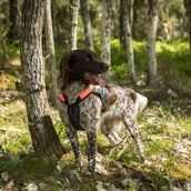 Back on Track Veste pour Chien TRAKK Réfléchissant Orange Back on Track Veste pour Chien TRAKK Réfléchissant Orange
