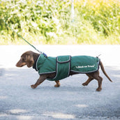 Back on Track Veste pour Chien Buddy Vert Back on Track Veste pour Chien Buddy Vert
