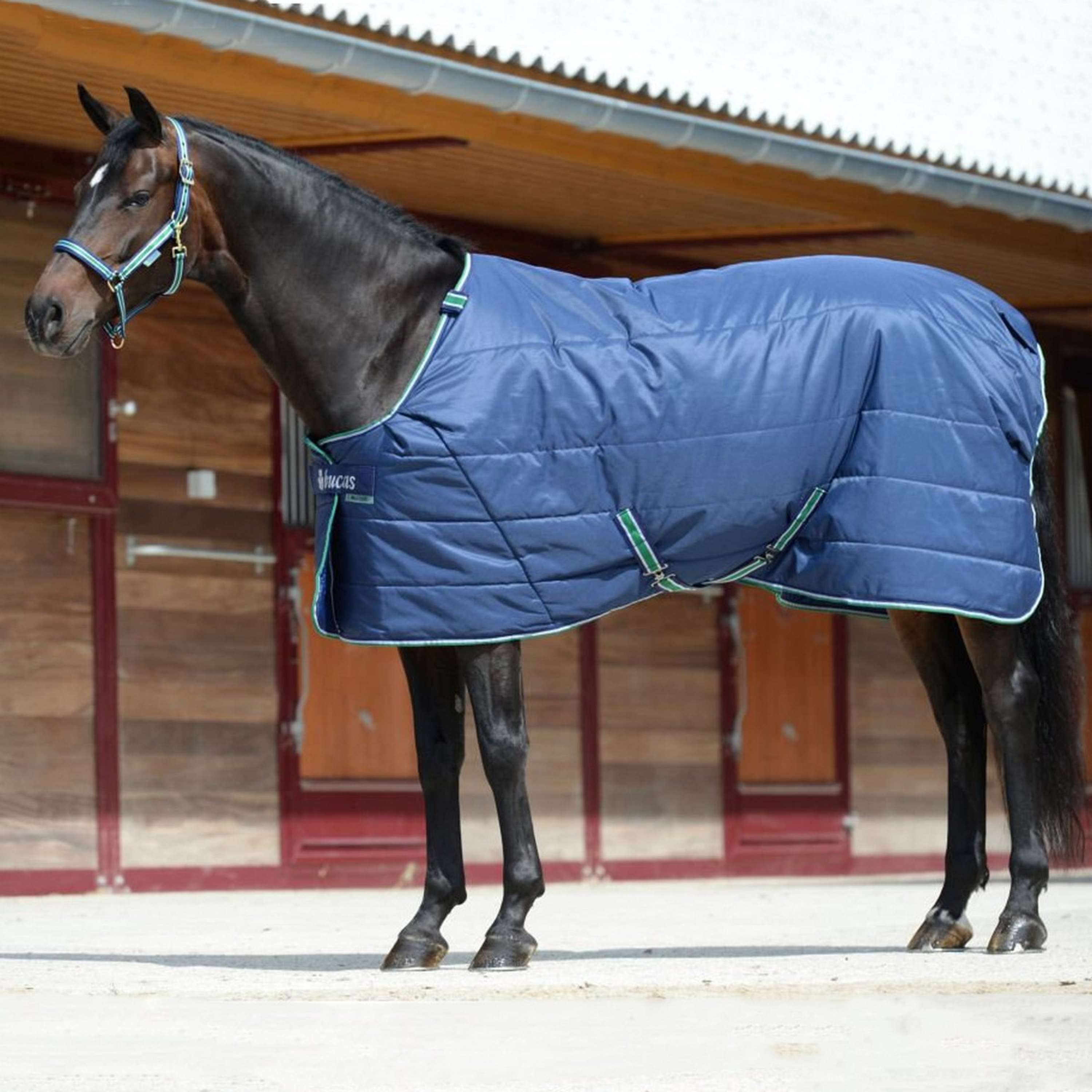 Manteau D'équitation Imperméable EQUINE STAY DRY - Taille S (8-10 Manteau D'équitation Imperméable EQUINE STAY DRY - Taille S (8-10