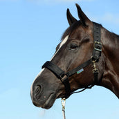 Bucas Licol Comfort Noir Bucas Licol Comfort Noir