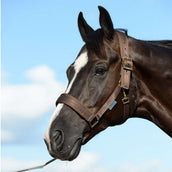 Bucas Licol Comfort Marron Bucas Licol Comfort Marron