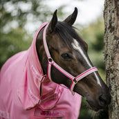 Bucas Licol Dublin Aurora Pink Bucas Licol Dublin Aurora Pink