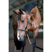 Bucas Longe Chaîne Stallion Black/Silver Bucas Longe Chaîne Stallion Black/Silver