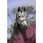 Bucas Licol Dublin Poulain Framboise Bucas Licol Dublin Poulain Framboise