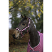 Bucas Licol Dublin Poulain Framboise Bucas Licol Dublin Poulain Framboise