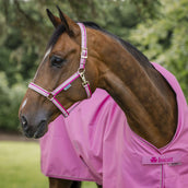 Bucas Licol Dublin Poulain Aurora Pink Bucas Licol Dublin Poulain Aurora Pink