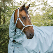 Bucas Licol Dublin Poulain Turquoise Bucas Licol Dublin Poulain Turquoise