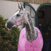 Bucas Licol Dublin Poulain Aurora Pink Bucas Licol Dublin Poulain Aurora Pink