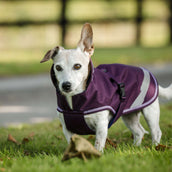 Bucas Freedom Dog Rug Blackberry Bucas Freedom Dog Rug Blackberry