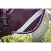 Bucas Freedom Dog Rug Blackberry Bucas Freedom Dog Rug Blackberry