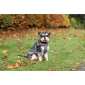 Bucas Freedom Couverture pour Chien 50g Smoke Grey Bucas Freedom Couverture pour Chien 50g Smoke Grey