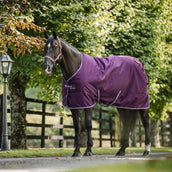 Bucas Freedom Couverture d'Écurie 150g Blackberry Bucas Freedom Couverture d'Écurie 150g Blackberry