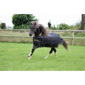 Bucas Irish Turnout 100g Noir/Or Bucas Irish Turnout 100g Noir/Or