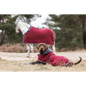 Bucas Couverture pour Chien Show-Line Burgundy/Gris Bucas Couverture pour Chien Show-Line Burgundy/Gris