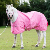 Bucas Lead Rein Dublin Padded Aurora Pink Bucas Lead Rein Dublin Padded Aurora Pink