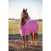 Bucas Lead Rein Dublin Padded Aurora Pink Bucas Lead Rein Dublin Padded Aurora Pink