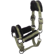 Cavallo Licol Cavaljero Tea Leaf Cavallo Licol Cavaljero Tea Leaf