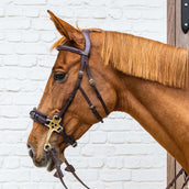 Dyon Bride Hackamore Marron Dyon Bride Hackamore Marron