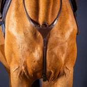 Dyon Collier de Chasse Bridge New English Collection Marron Dyon Collier de Chasse Bridge New English Collection Marron
