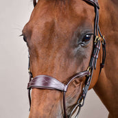 Dyon Bride Hybrid Marron Dyon Bride Hybrid Marron