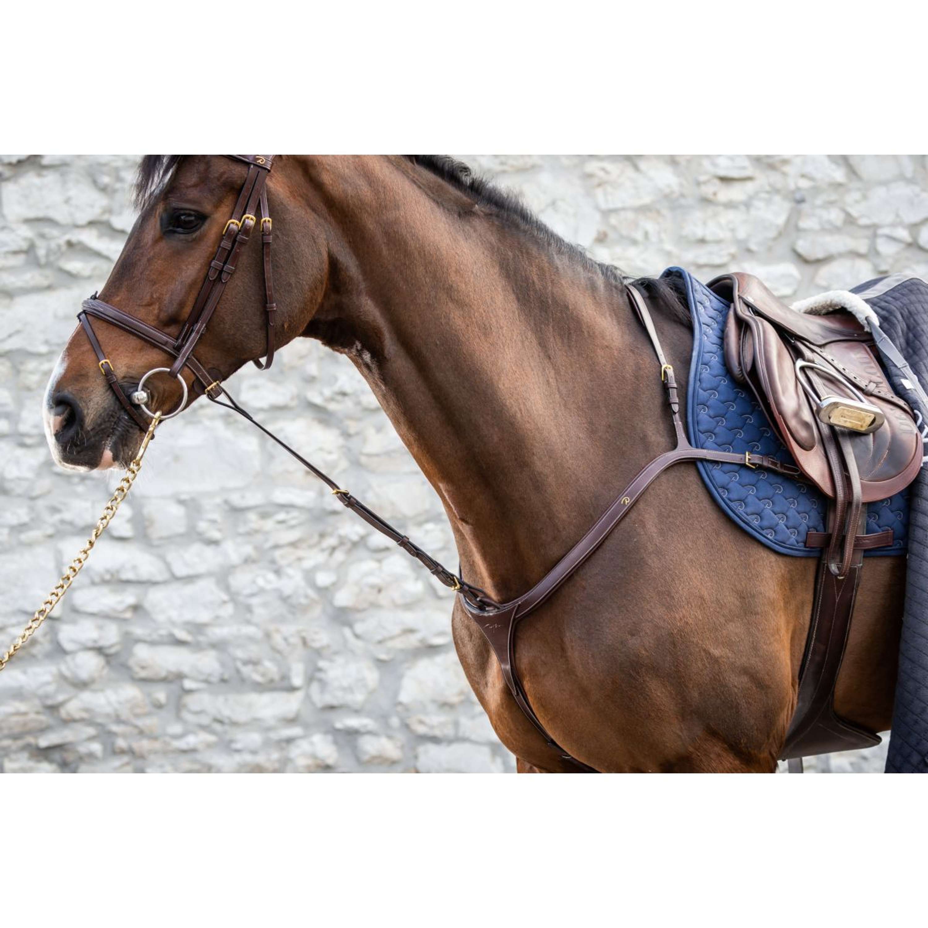 Martingale élastiquée Cheval et Poney - marron foncé FOUGANZA - Decathlon Martingale élastiquée Cheval et Poney - marron foncé FOUGANZA - Decathlon