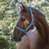 Norton Licol Fluo Rembourrage Bleu Norton Licol Fluo Rembourrage Bleu