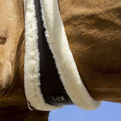 Norton Sangle XTR avec Peau de Mouton Synthétique Havana/Crème Norton Sangle XTR avec Peau de Mouton Synthétique Havana/Crème