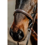 Norton Bride Hunter Havane Norton Bride Hunter Havane