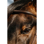 Norton Bride Hunter Havane Norton Bride Hunter Havane