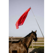 Hippotonic Bâton d'entraînement Ethologisch avec drapeau Rouge Hippotonic Bâton d'entraînement Ethologisch avec drapeau Rouge