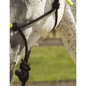 Norton Longe + Licol Fun Colour Éthologique noir/néon vert Norton Longe + Licol Fun Colour Éthologique noir/néon vert