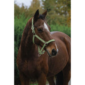 EQUITHÈME Licol Spring Nylon Vert clair EQUITHÈME Licol Spring Nylon Vert clair