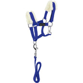 EQUITHÈME Pony Academy Ensemble Licol Bleu Royal EQUITHÈME Pony Academy Ensemble Licol Bleu Royal