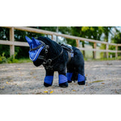 EQUITHÈME Pony Academy Guêtres Bleu Royal EQUITHÈME Pony Academy Guêtres Bleu Royal
