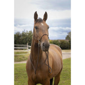 Norton Licol de monte avec Rênes Marron Norton Licol de monte avec Rênes Marron