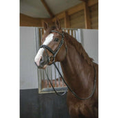 Pénélope Bride Daily Chocolat Pénélope Bride Daily Chocolat