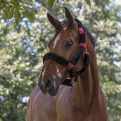 Norton Licol Full Mouton Synthétique Noir/Rouge Norton Licol Full Mouton Synthétique Noir/Rouge