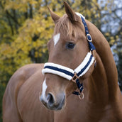 Norton Licol Confort Marin Norton Licol Confort Marin