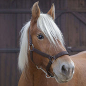 Norton Licol Pro Marron Norton Licol Pro Marron