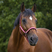 Norton Licol Doublé de Néoprène Rouge/Écru Norton Licol Doublé de Néoprène Rouge/Écru