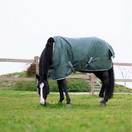 EQUITHÈME Couverture d'Extérieur Tyrex 600D 300g Recyclé Vert EQUITHÈME Couverture d'Extérieur Tyrex 600D 300g Recyclé Vert